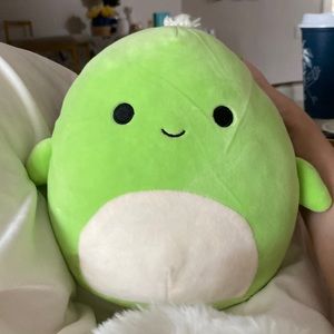 Turtle squish mellow